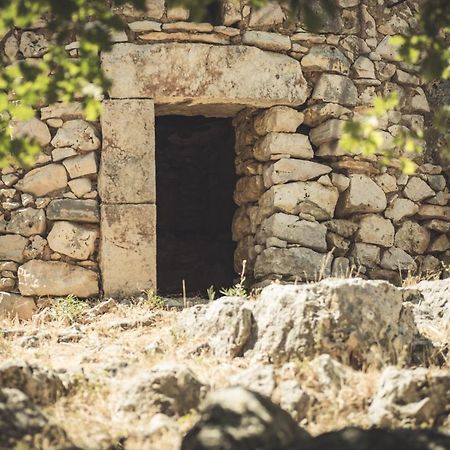 فيلا Masseria Storica Pilapalucci Toritto المظهر الخارجي الصورة